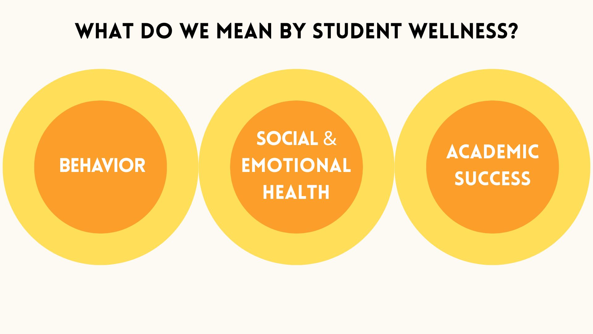What do we mean by student wellness?